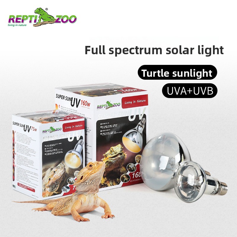 Calcium Powder Reptile - Reptizoo Reptilien-Sonnenlampe – UVA + UVB
