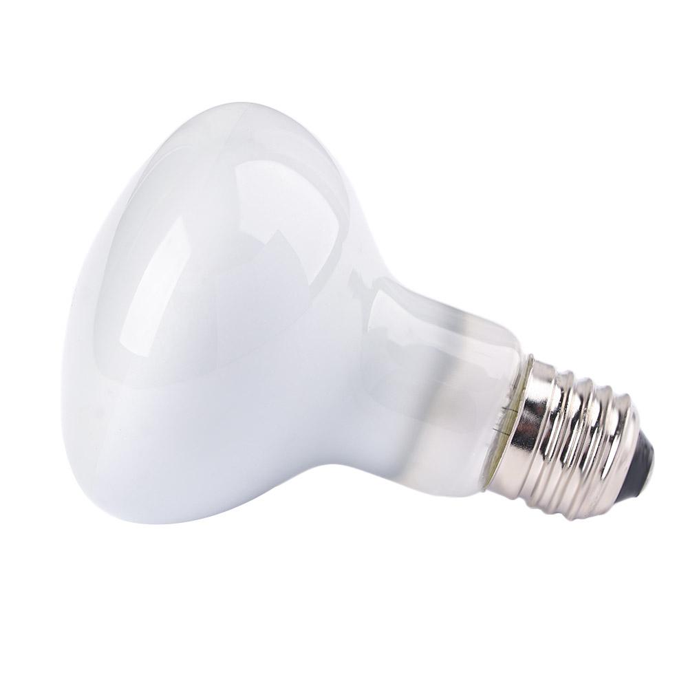 Basking Bulb Halogen - Amphibien-Temperaturregler, Heizgerät, Halogenlampe, UVA-Licht, Reptilien-Wärmelampe