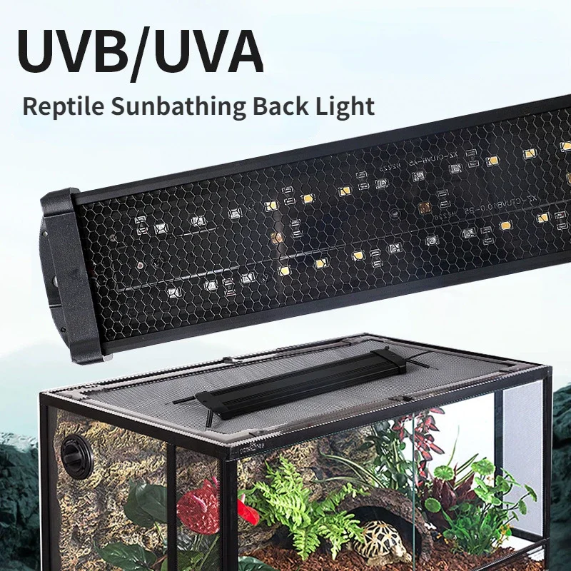 Reptil UVA+UVB Vollspektrum-LE – Calcium Powder Reptile Bewertung und Preis