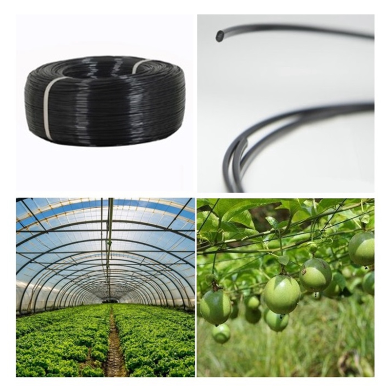 50m Kunststoff-Stahldraht für  – Vine Climbing Plastic Bewertung und Preis