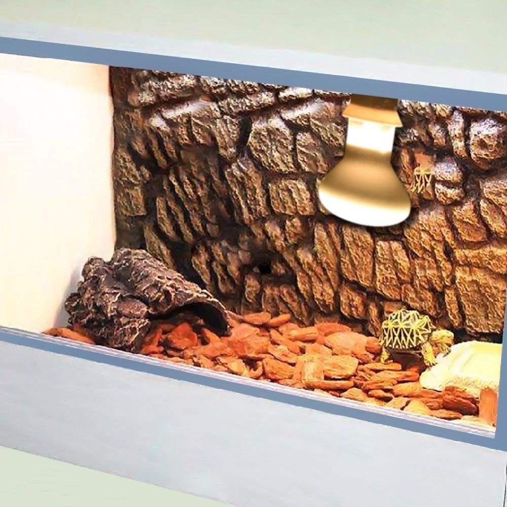 Amphibien-Temperaturregler, He – Basking Bulb Halogen Bewertung und Preis