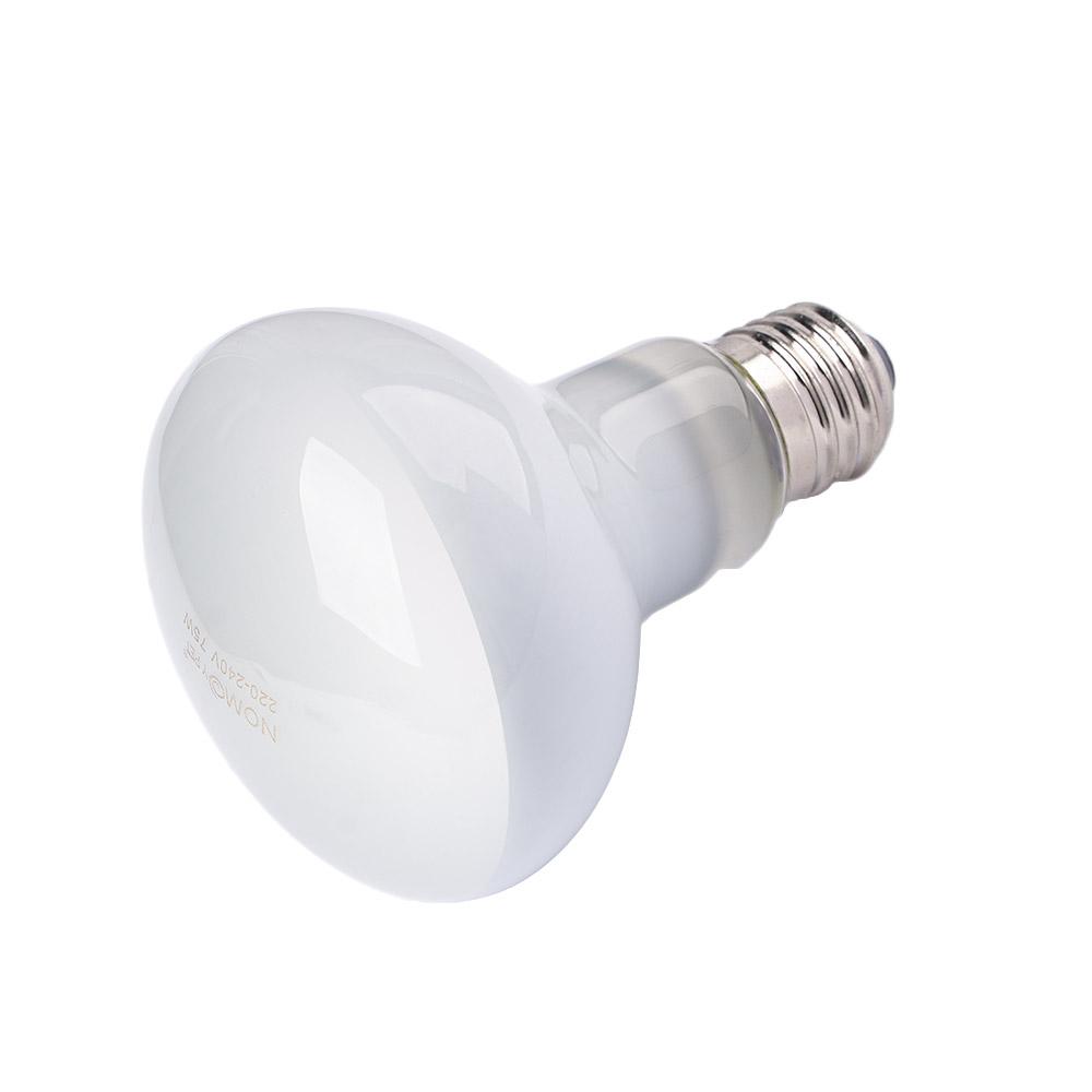 Schildkrötenheizlampe Reptilie – Basking Bulb Halogen Bewertung und Preis