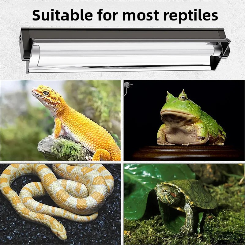 T5 UVB-Röhre mit integrierter  – Calcium Powder Reptile Bewertung und Preis