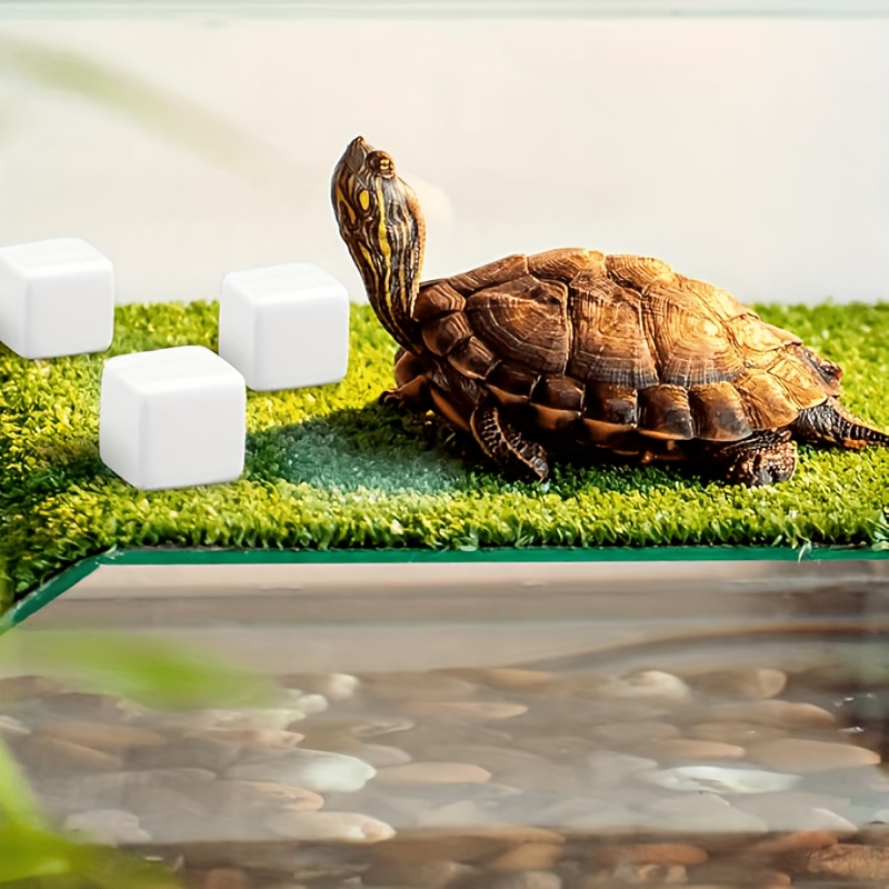 6 Stück Aquarium-Kalziumblöcke – Calcium Powder Reptile Bewertung und Preis